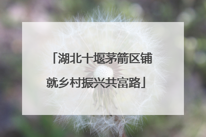 湖北十堰茅箭区铺就乡村振兴共富路